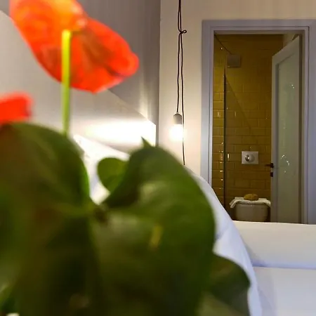 Lägenhetshotell Loc Hospitality Urban